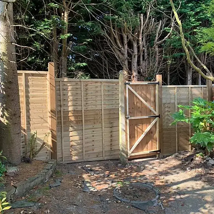 New close board fence panels and a gate in a garden